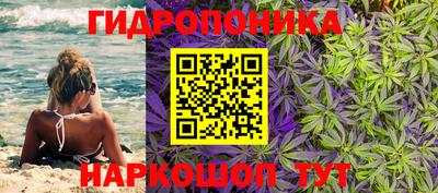 ECSTASY Гусь-Хрустальный