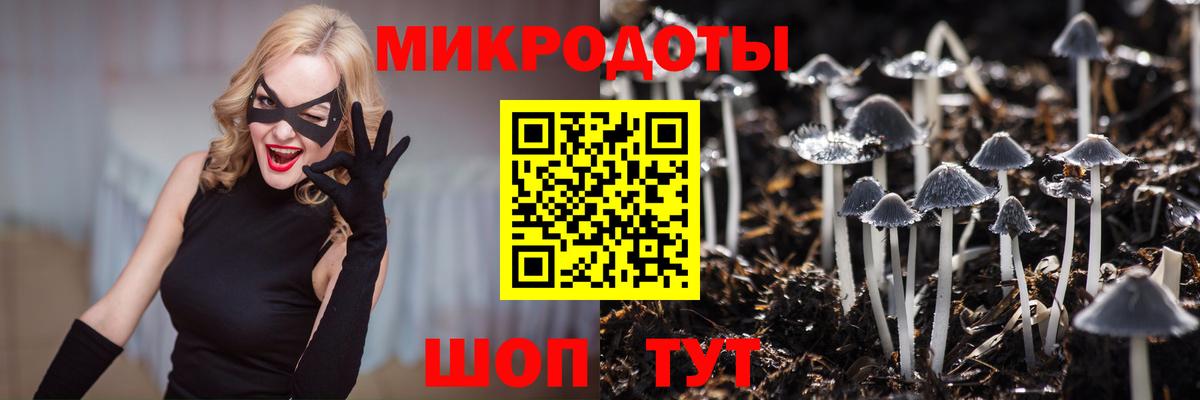 Псилоцибиновые грибы MAGIC MUSHROOMS  Вход с VPN  Канск 